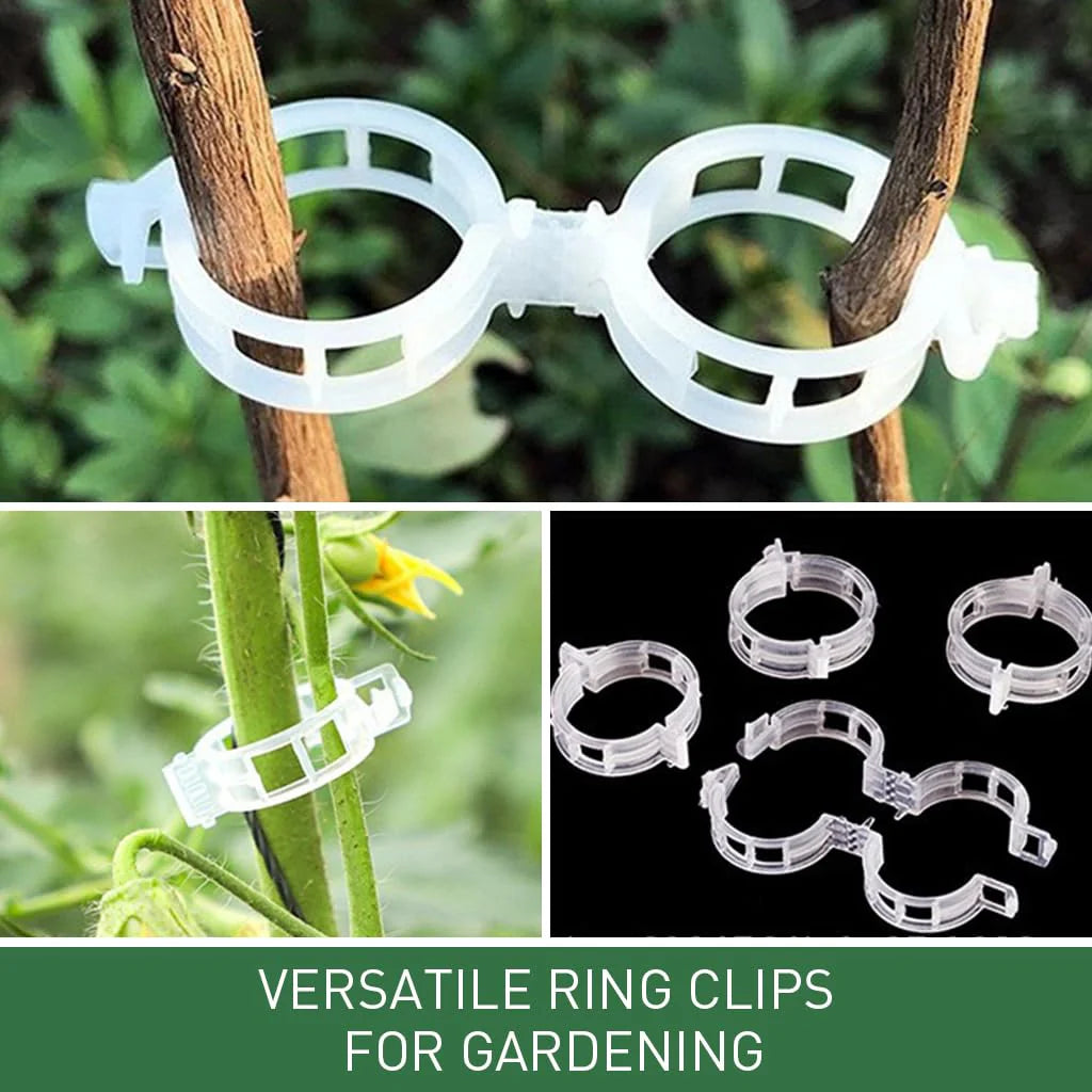 300Pcs Gardening Supportive Ring Clips for Plants