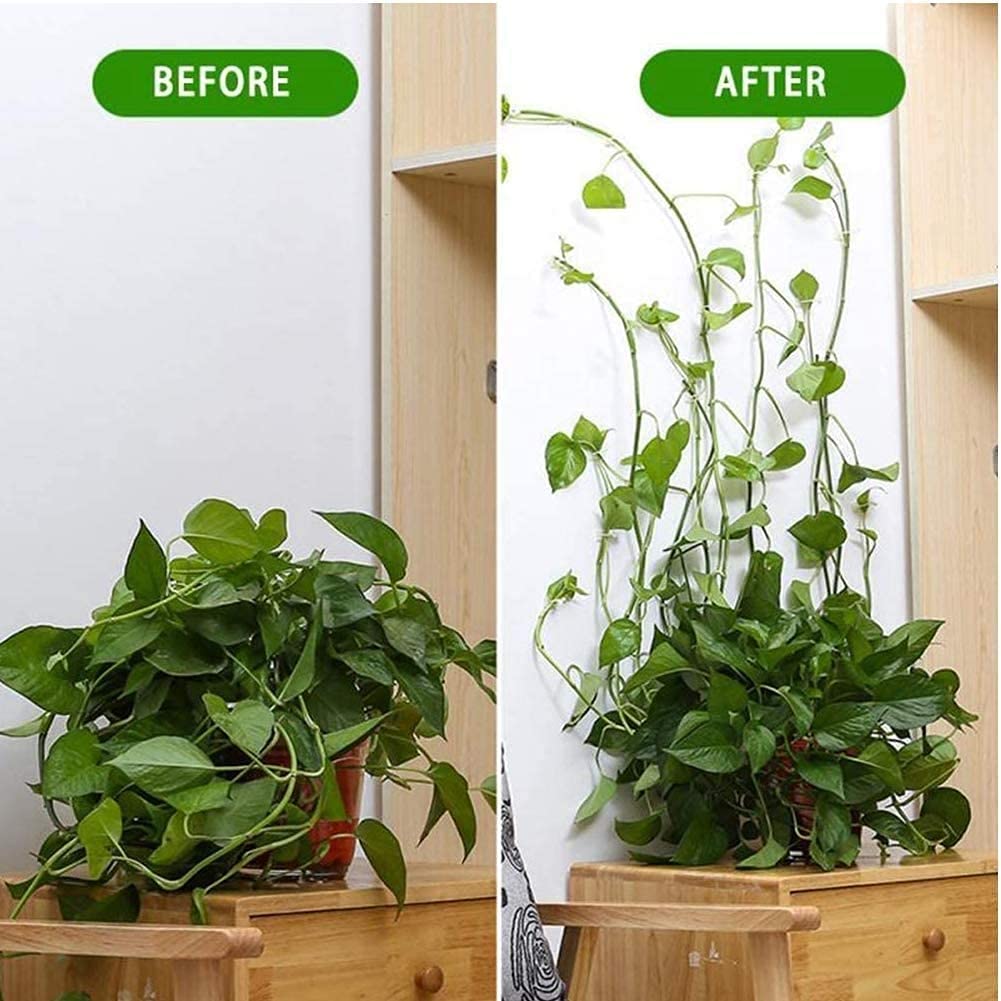 50Pcs Wall Fixture Clips for Plant Climbing Vine Plant