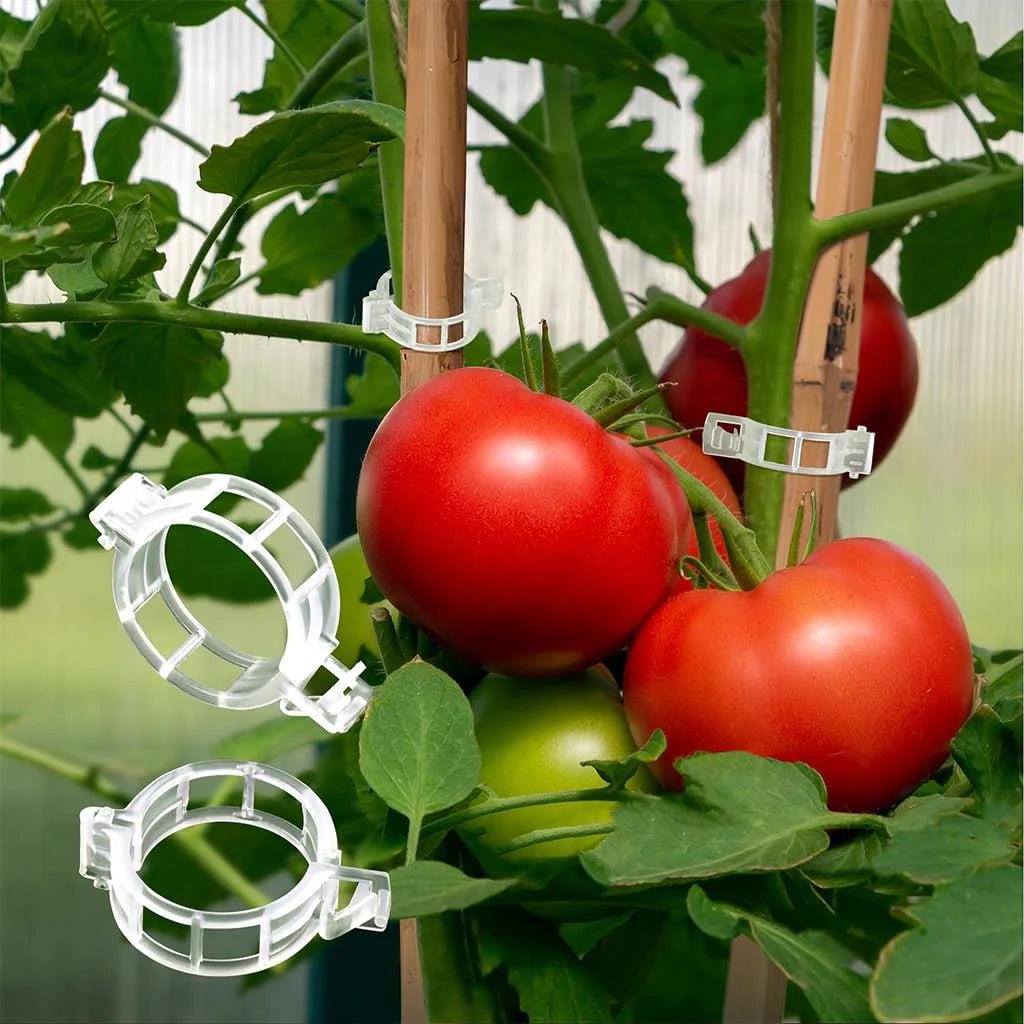 300Pcs Gardening Supportive Ring Clips for Plants