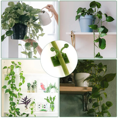 50Pcs Wall Fixture Clips for Plant Climbing Vine Plant